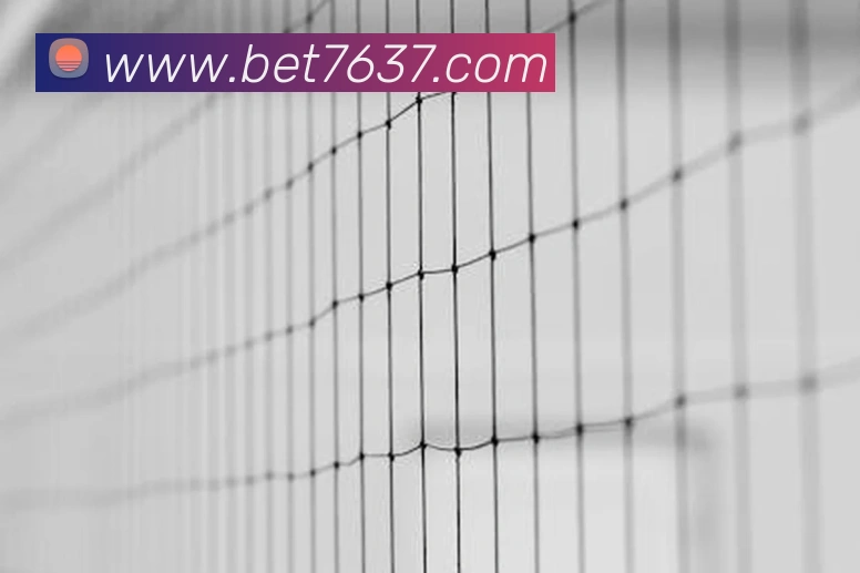 bet365com平台生态图